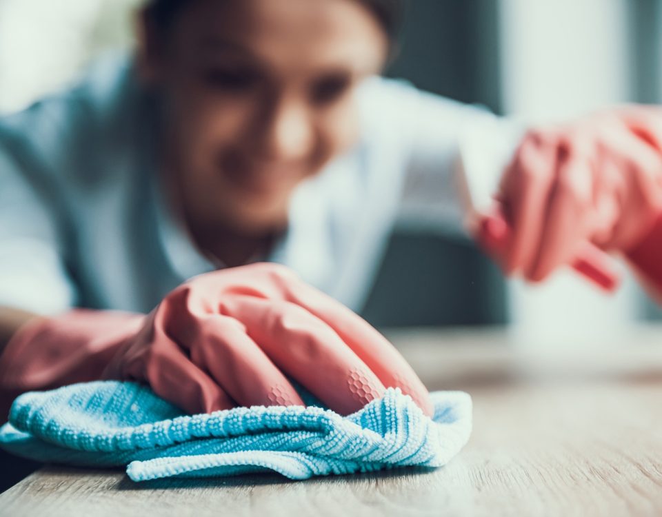 new protections for domestic workers Ty Hyderally perspective
